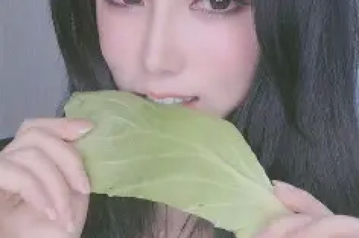落毛凤凰不如鸡？这6位毫无底线的网红如今没一个值得同情